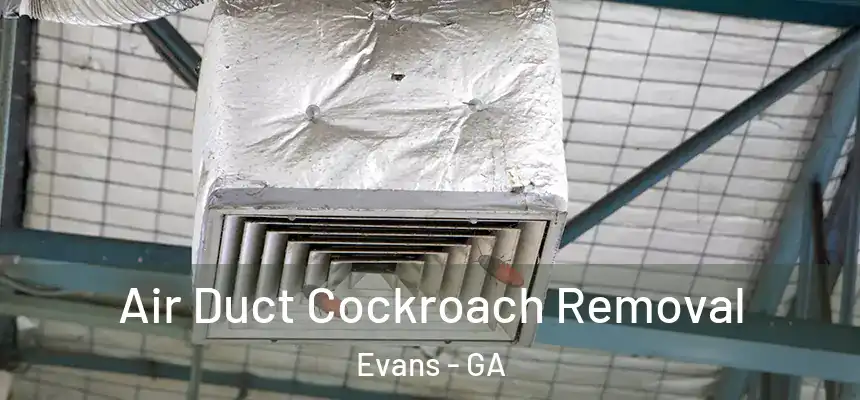 Air Duct Cockroach Removal Evans - GA