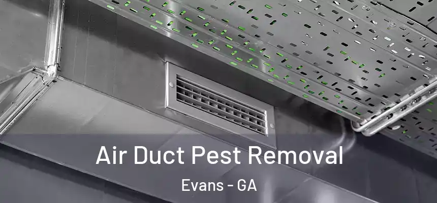 Air Duct Pest Removal Evans - GA