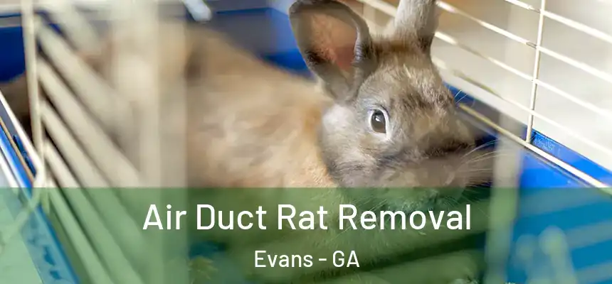 Air Duct Rat Removal Evans - GA