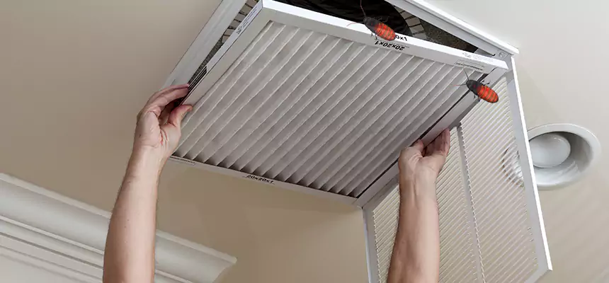 Preventive Cockroach-Proofing for Ducts in Evans