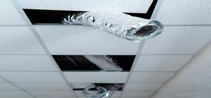 Affordable HVAC Sanitizing After Pest Removal in Evans