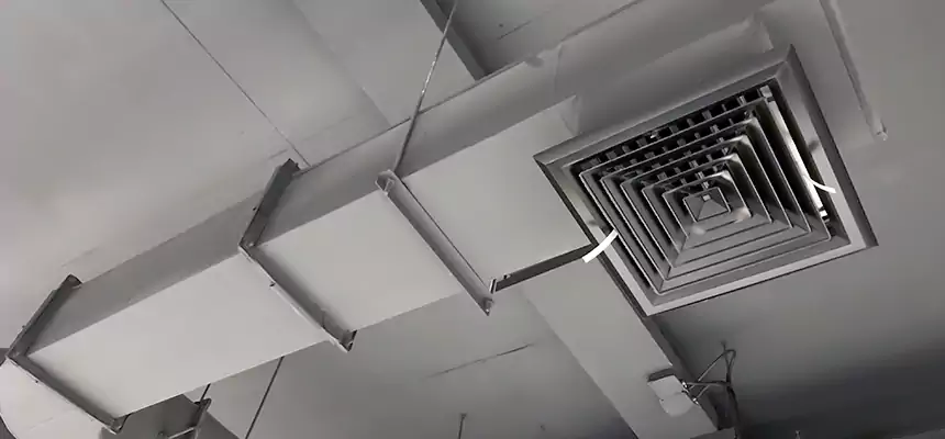 Our Pest Removal From Ducts Services in Evans, GA