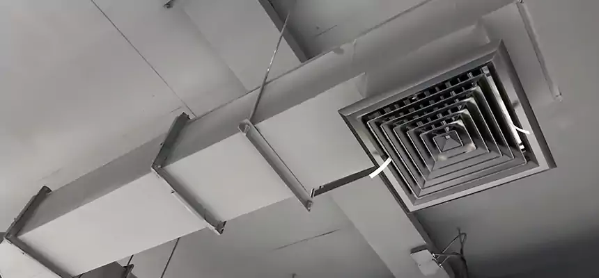 Our Rodent Droppings In Vents Services in Evans, GA