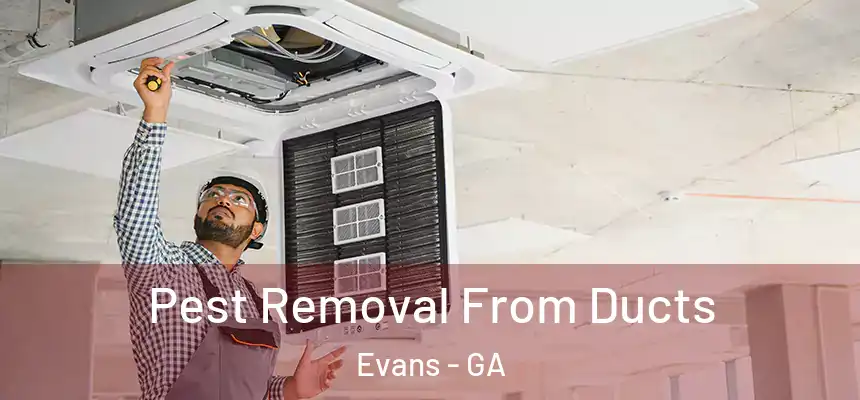 Pest Removal From Ducts Evans - GA