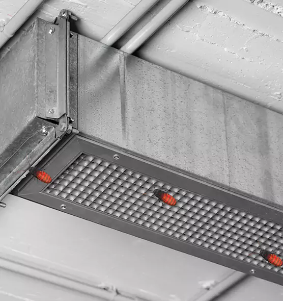 About Air Duct Cockroach Removal in Evans, GA