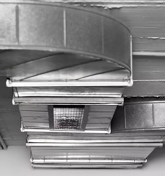 Professional Air Duct Pet Hair Removal in Evans, GA