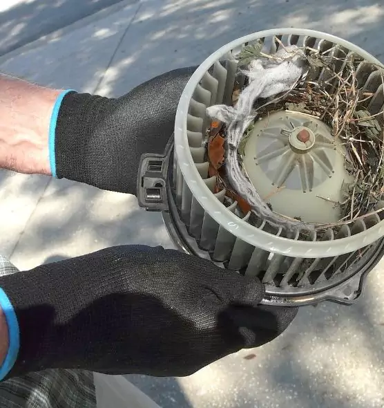 About Air Duct Rat Removal in Evans, GA