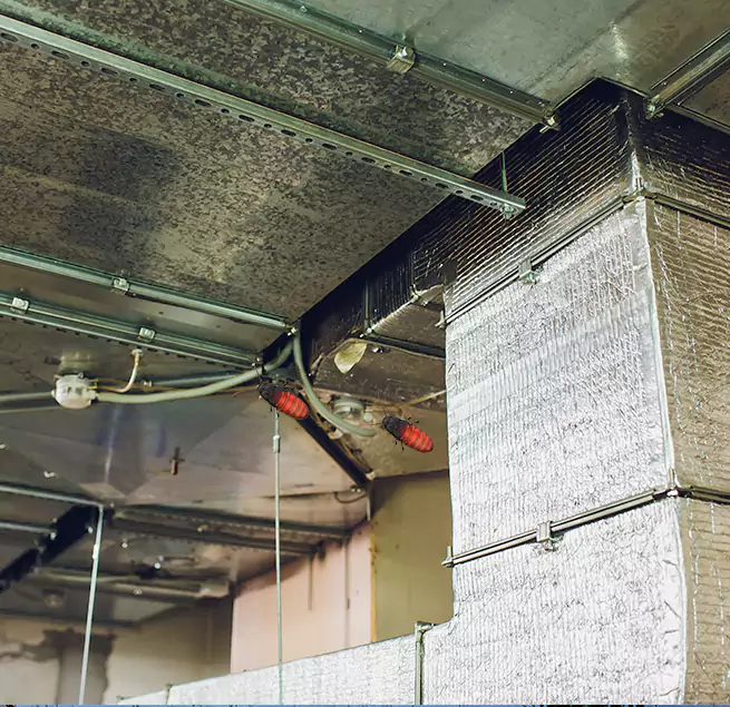 Why Homeowners & Businesses Trust Us in Evans, GA?