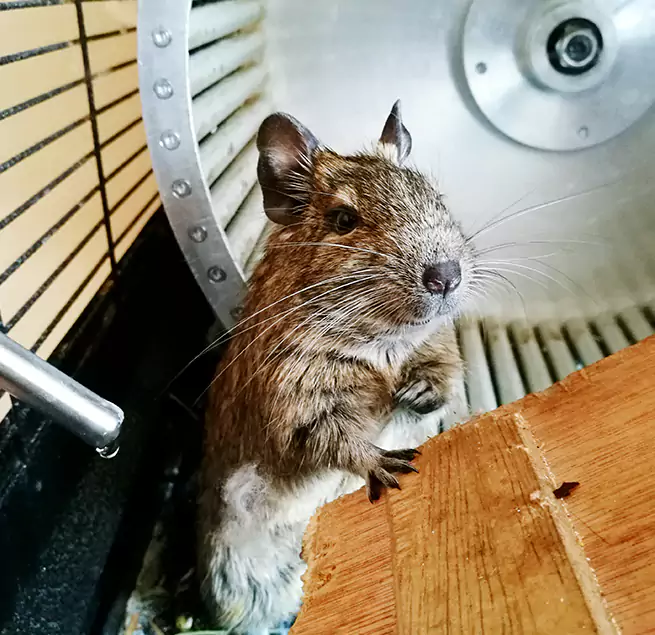 Why Homeowners & Businesses Trust Us Evans, GA?