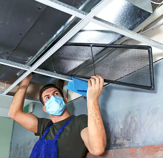 Why Homeowners Businesses Trust Us in Evans, GA