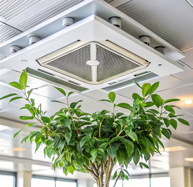 Why Homeowners & Businesses Trust Us in Evans, GA