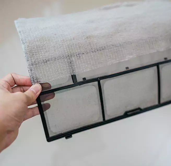 Why Homeowners & Businesses Trust Us in Evans, GA?